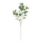 cành lá bồ đề giả